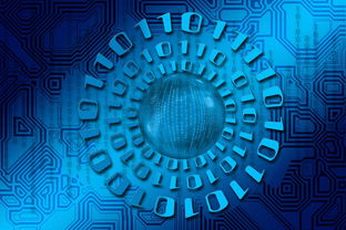 米兰足球官网-大数据应用助力训练科学管理，大数据在训练管理中的应用